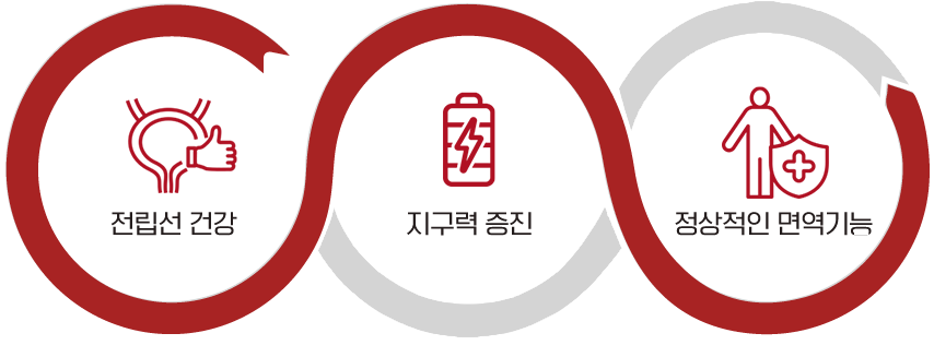 3중 기능성 건강기능식품