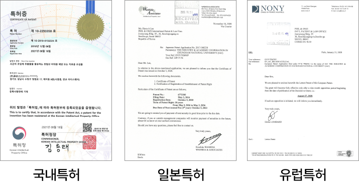 인허가/특허증